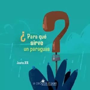 ¿PARA QUE SIRVE UN PARAGUAS?