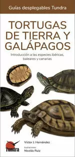 TORTUGAS DE TIERRA Y GALAPAGOS