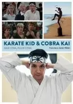KARATE KID & COBRA KAI. DAR CERA, PULIR CERA