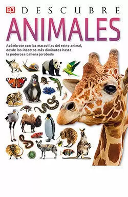 DESCUBRE LOS ANIMALES