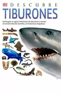 DESCUBRE LOS TIBURONES