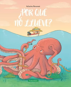 ¿POR QUÉ NO LLUEVE