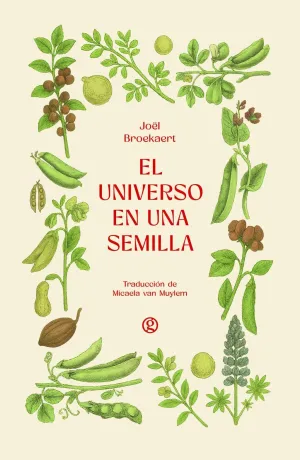 EL UNIVERSO EN UNA SEMILLA