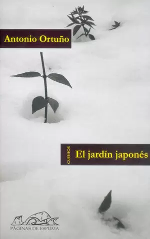 EL JARDIN JAPONES