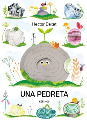 UNA PEDRETA