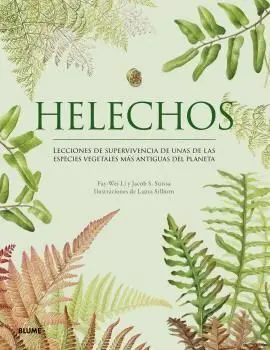 HELECHOS