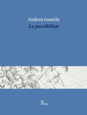 LA POSSIBILITAT